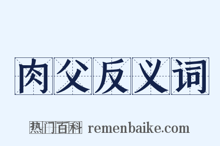 肉父反义词是什么意思的图片